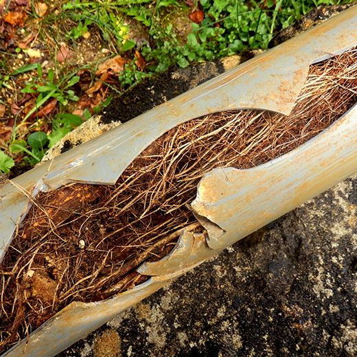 The Drain & Sewer Professionals In Aldinga Beach